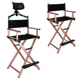 Professional Makeup Artist Chair,  Director Chair (Metal)